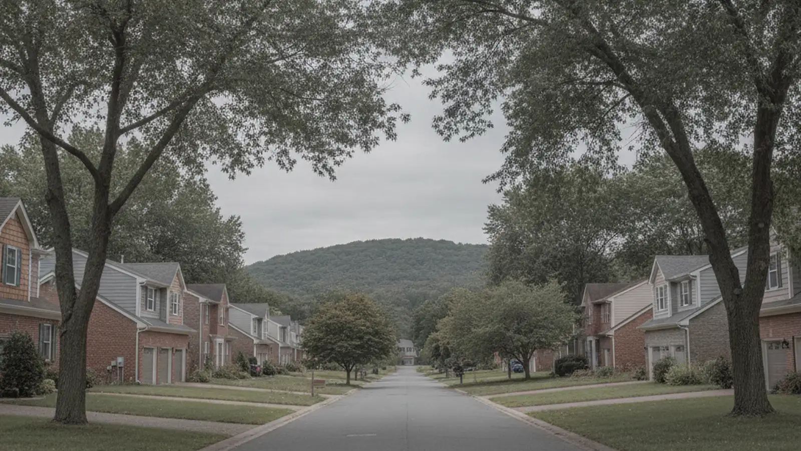 A Staten Island residential street of detached houses with lawns and driveways under mature trees, a hill rising behind.