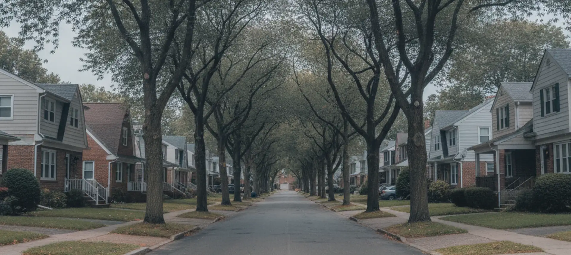 A wide view along a long Staten Island residential street in deep perspective, detached houses and driveways on both sides, mature trees meeting overhead.